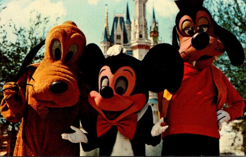 Florida Walt Disney World Mickey Mouse Pluto and Goofy | United States -  Florida - Orlando, Postcard