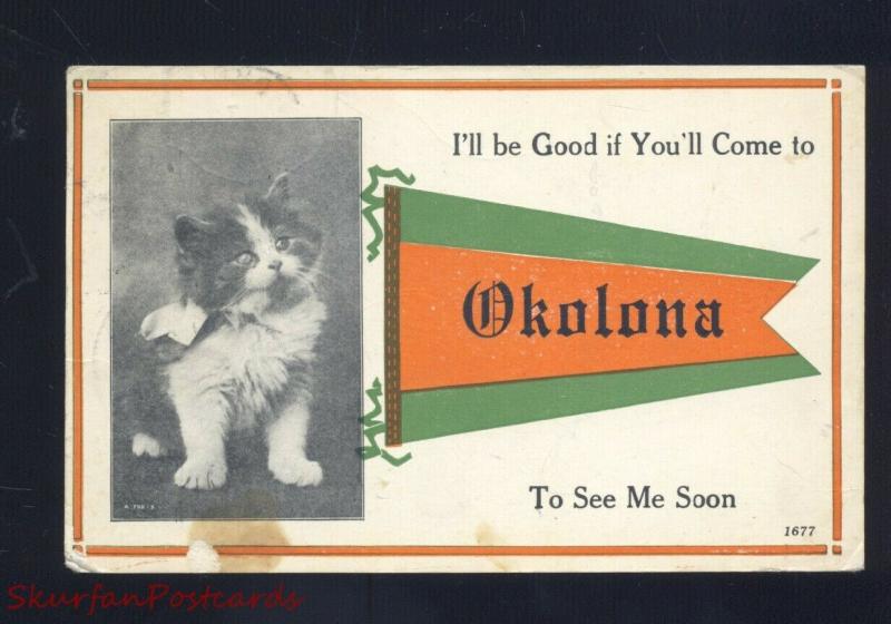 OKOLONA MISSISSIPPI CUTE KITTEN CAT ORANGE PENNANT VINTAGE POSTCARD 1914