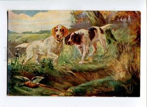 257449 DRUMMOND English SETTER Perdix partridge HUNT Vintage