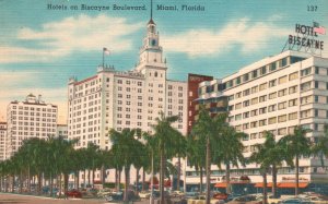 Hotels On Biscayne Boulevard Palm Trees Miami Florida FL Vintage Postcard 1954