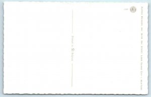 Mainzer Dressed Cats HOUSEWORK Vacuum Dusting  Kittens #4957 Belgium  Postcard