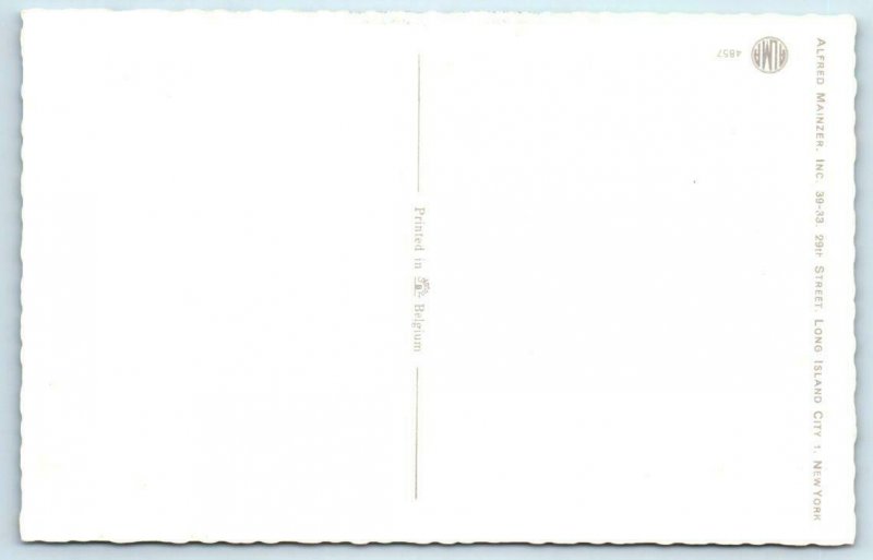 Mainzer Dressed Cats HOUSEWORK Vacuum Dusting  Kittens #4957 Belgium  Postcard