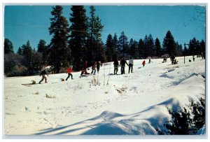 1960 Moonridge Rope Tow View San Bernardino Mountains Big Bear Lake CA Postcard
