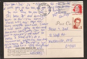 KY Cougar Puma Mountain Lion Louisville Zoo, Kentucky Postcard