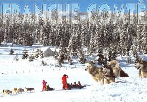 BF38644 franche comte haski   chien dog  animal animaux