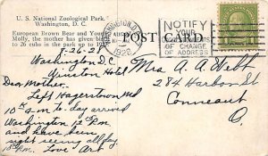 European Brown Bear and Young Molly US National Zoological Park, Washington, ...