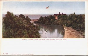 USA Mouth Lester River Fish Hatcheries Duluth Minnesota Vintage Postcard 09.45