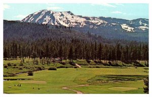 Postcard GOLF COURSE SCENE Graeagle California CA AR3942