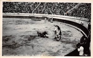 Rejoneando Un Toro - Plaza De Toros De Bogota Tarjeta Postal, Bullfighting Un...