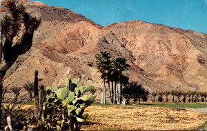 California Palm Springs Scenic View 1968