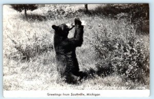 RPPC Greetings from SCOTTVILLE, Michigan MI ~ 1950 Mason County Postcard