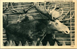 Postcard Moose at Log Cabin Inn in International Falls, Minnesota~133451