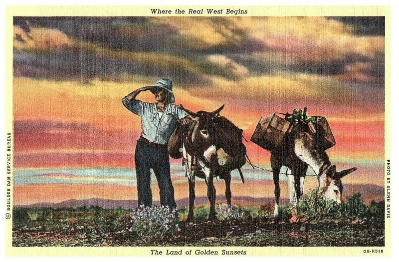 Where The Real West Begins, Land of Golden Sunsets Donkeys Linen c1942 Postcard