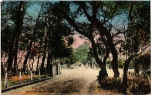 CPA ILE-de-NOIRMOUTIER - Carrefour du Route dans Bois de la Chaise (636972)