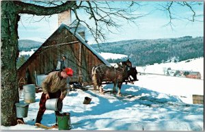 Maple Sugar Time in Vermont, Syrup Gathering Rig Sugar House Chrome Y14