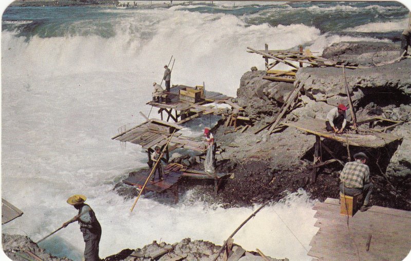 P1808 vintage indians fishing at celio falls columbia river