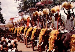 Indian Trichur Pooram Festival Elephants