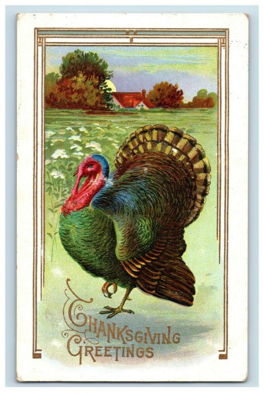 c.1910 Turkey Embossed Thanksgiving #3 Vintage Postcard P51 