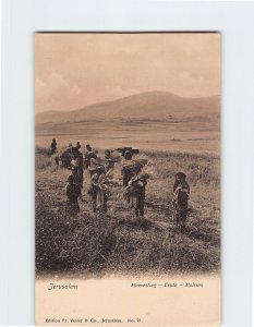 Postcard Harvesting Ernte Moisson Jerusalem Israel