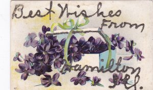 Illinois Best Wishes From Hamilton With Flowers