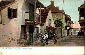 Tucks 2438 St Augustine FL Charlotte Street Vintage Postcard M66