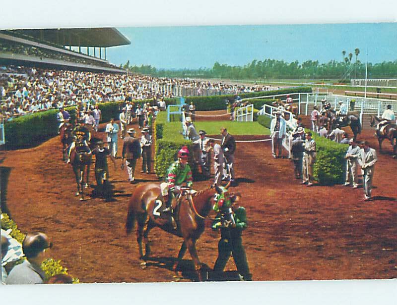 Chrome HORSE RACING SCENE Inglewood - Los Angeles California CA AG5546