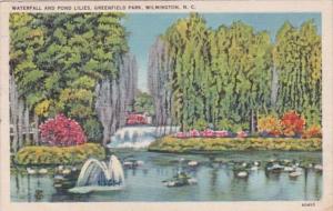 North Carolina Wilmington Waterfall and Pond Lilies Greenfield Park 1941