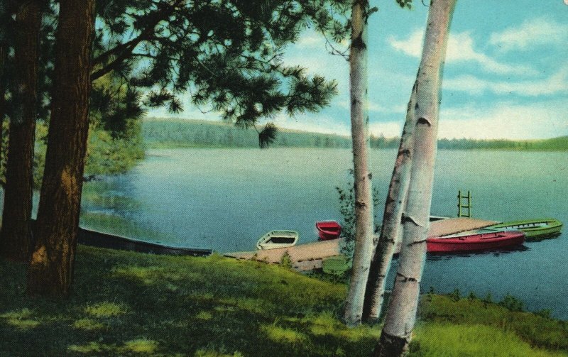 Vintage Postcard 1954 Lagoon La Crosse River Park Boat Sparta Wisconsin