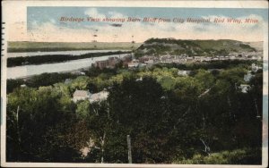 Red Wing Minnesota MN Birdseye View Hospital 1900s-10s Postcard