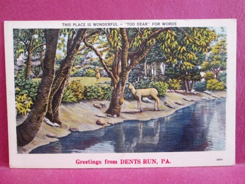 Postcard PA Dent's Run Greetings from Dents Run