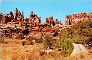 Needles Canyonlands National Park Utah UT Postcard VTG UNP Dexter Vintage Unused 