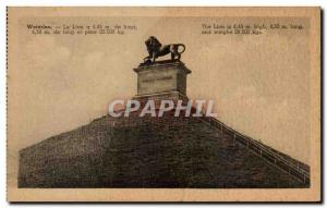 Old Postcard Belgium Waterloo Lion 4 45m high