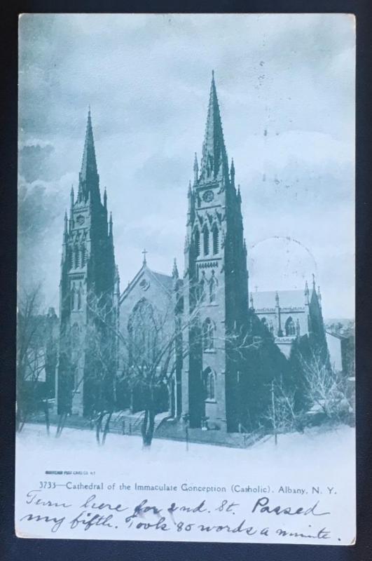 Cathedral of the Immaculate Conception Albany NY 1906 Souvenir Post Card Co 