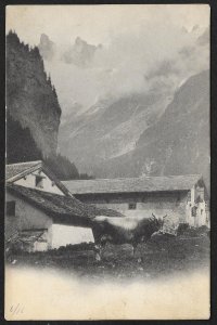 Cow House Barn & Mountains SWITZERLAND Unused c1905