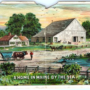 c1880s Kennebunk, ME Mitchell's Drug Plasters Trade Card Quack Beacon Lith 5R