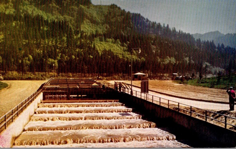 Oregon Bonneville Dam Bradford Island Fish Ladder