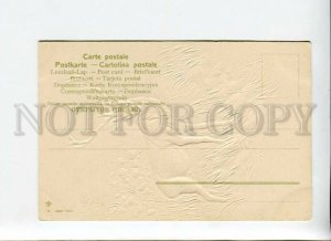 3170095 Deer HUNT Summer Vintage EMBOSSED postcard PFB #3896