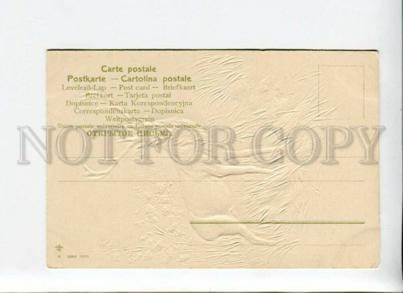 3170095 Deer HUNT Summer Vintage EMBOSSED postcard PFB #3896