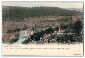c1905 Catskill Mountains Birds Eye View Prattsville Pratt Rock New York Postcard