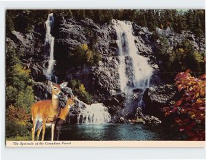 Postcard The Spectacle of the Canadian Forest, Bridal Veil Falls, Canada