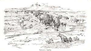 Artist Signed Damaged Nature's Cattle, Charles Marion Russell Unused crease r...