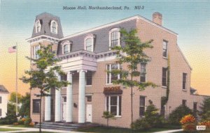 Postcard Moose Hall Northumberland PA