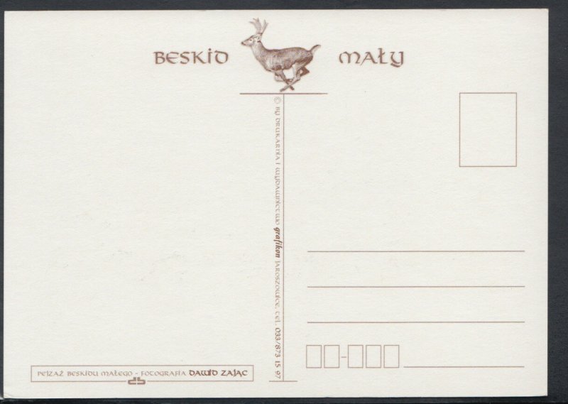 Animals Postcard - Deer - Poland - Beskid Maly     RR3974