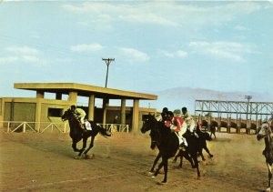 PC CPA SAUDI ARABIA, RIYADH, HORSE RACING, Modern Postcard (b15926)