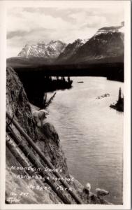 Mountain Goats Athabasca Lookout Jasper Alberta AB RPPC Real Photo Postcard D39