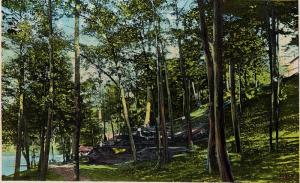 1907-1915 Lake Winola PA The Rocks in Front of the House Overfield DB Postcard