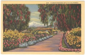 Flower Bordered Walk In California, Vintage Linen Postcard