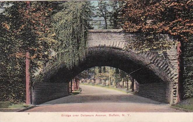 New York Buffalo Bridge Over Delaware Avenue