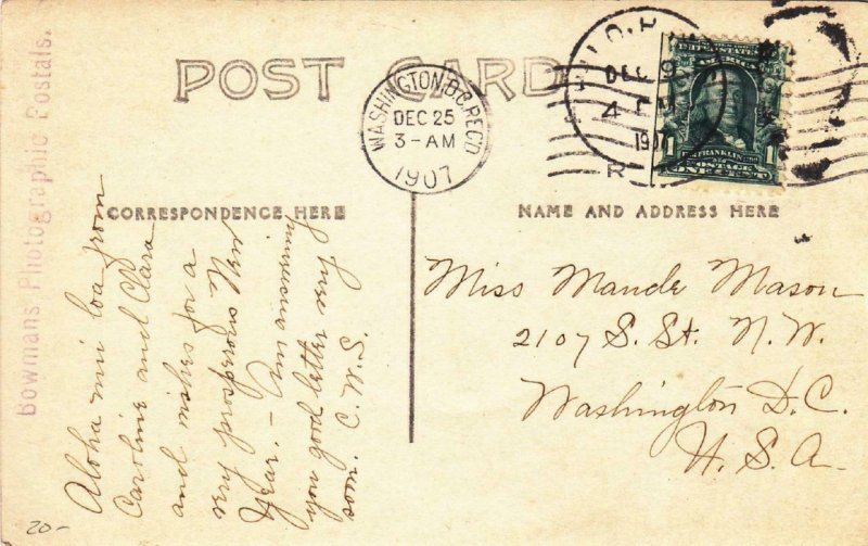 1907, Hilo, HI to Washington, DC, B/W Real Photo Postcard of Palm Trees (33449)