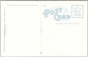 Public Library Duluth Minnesota MN Roadway Grounds Trees Landmark Postcard